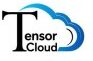 Tensor Cloud